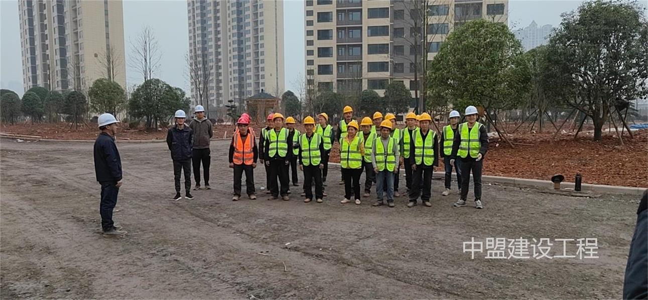 美麗瀟湘住宅小區項目工程—園林綠化及鋪裝工程