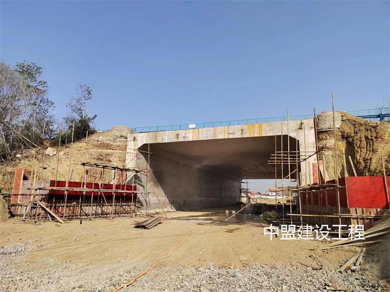 207省道黃岡化工園至南湖工業(yè)園段改建工程項目YKO+787.5頂推箱涵施工